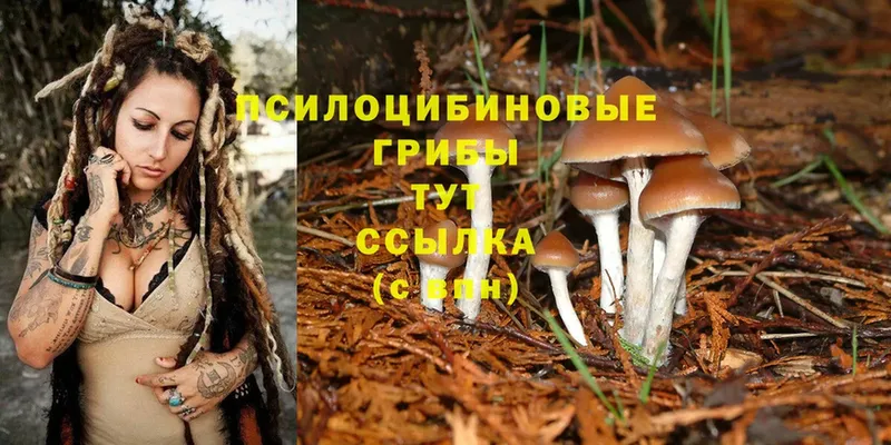 Псилоцибиновые грибы Magic Shrooms  хочу   Новоаннинский 