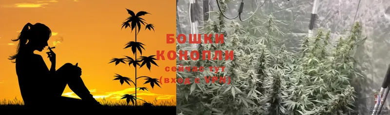 Каннабис SATIVA & INDICA  Новоаннинский 